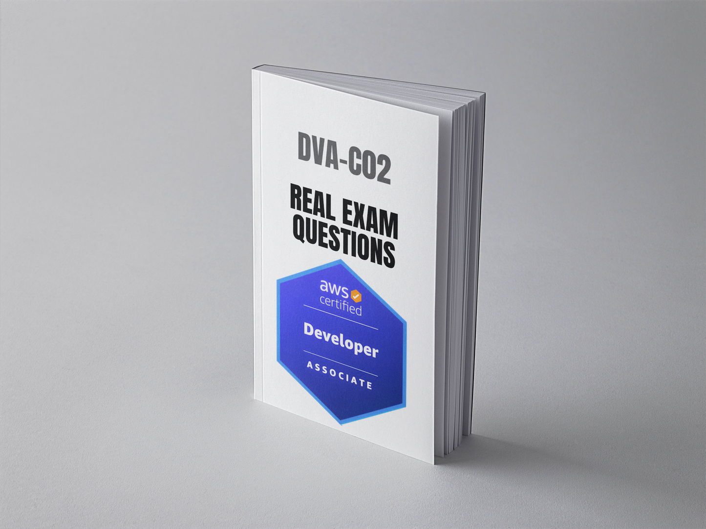 AWS DVA-C02 Real Exam Questions